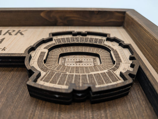 Buffalo Football Wall Art