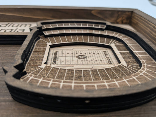 Georgia Football Wall Art