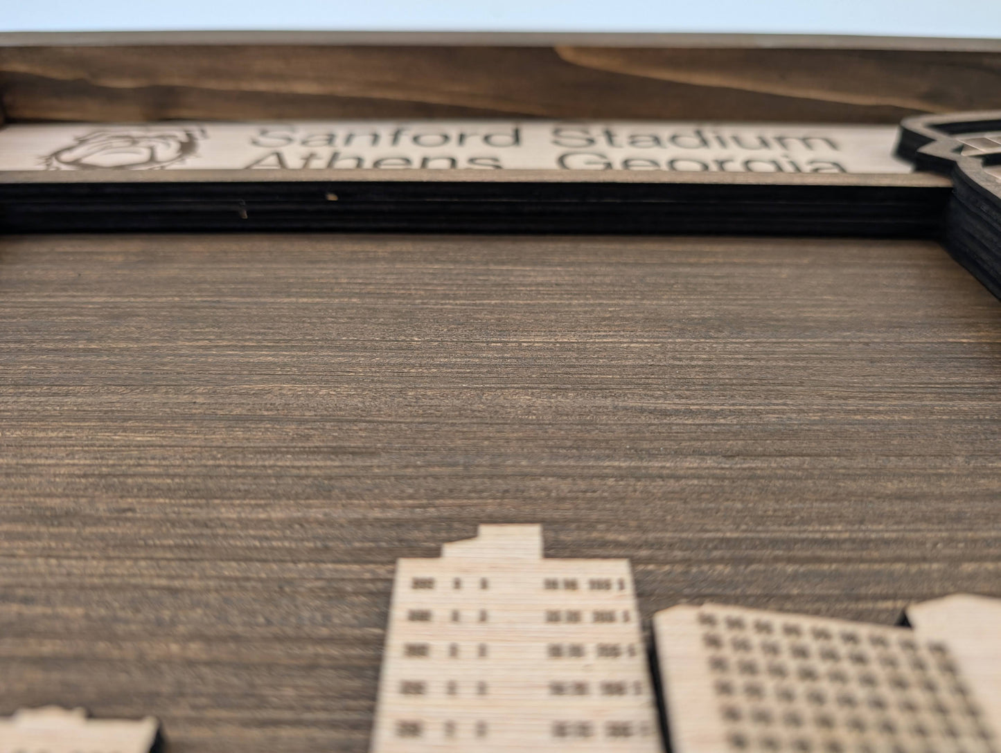 Georgia Football Wall Art