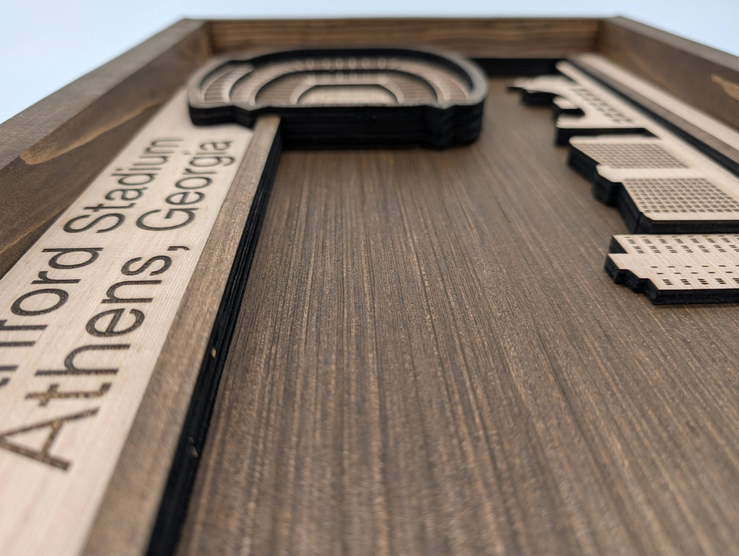 Georgia Football Wall Art