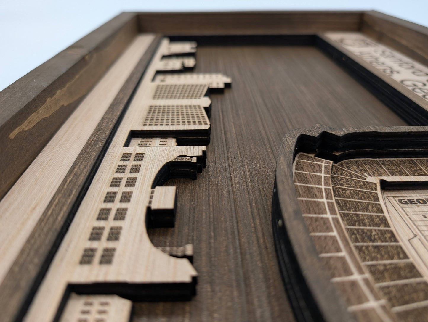 Georgia Football Wall Art