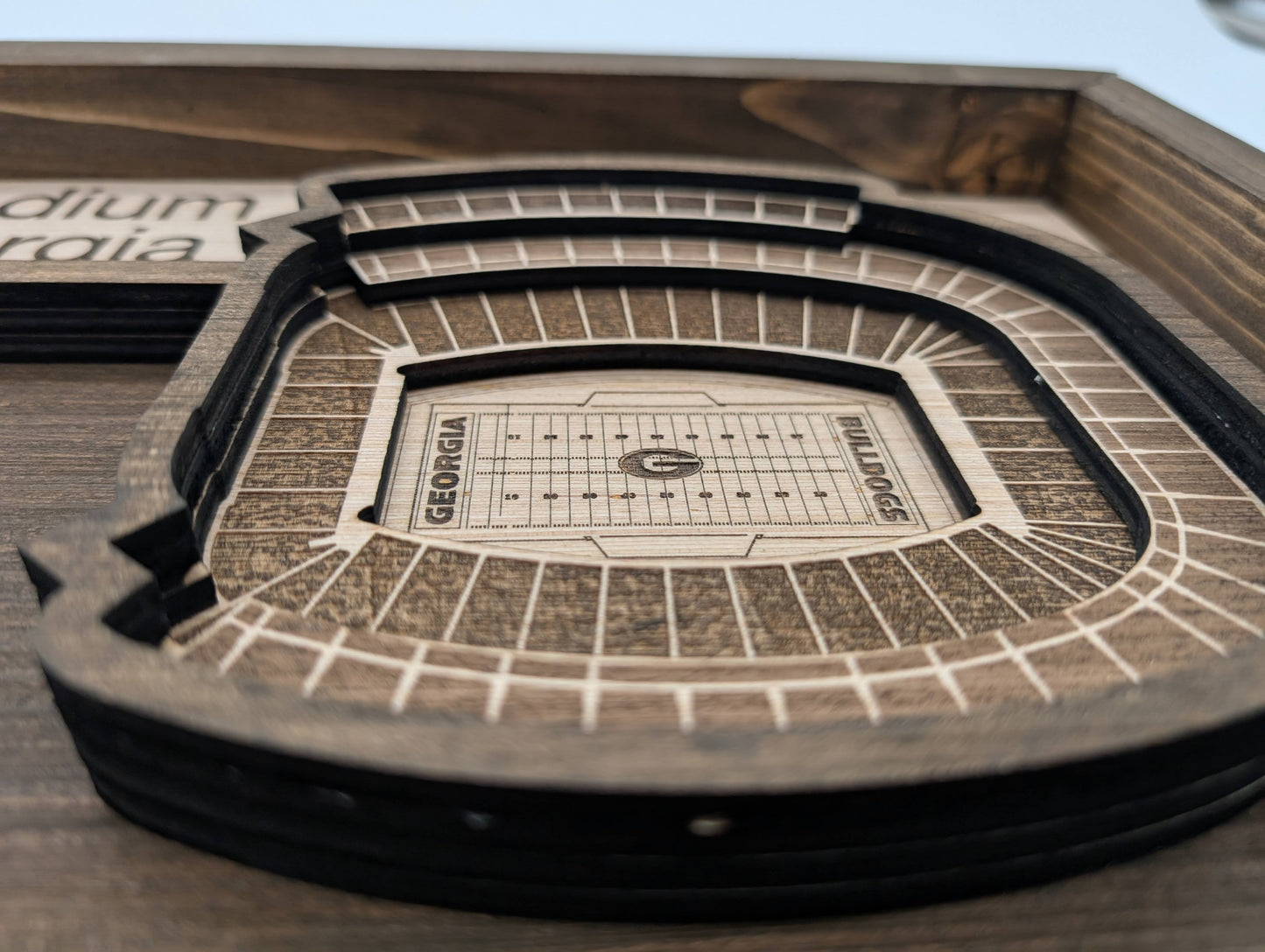 Georgia Football Wall Art