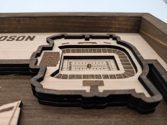 Charlotte Football Wall Art