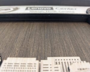 Carolina Hockey Wall Art